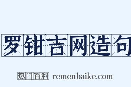 罗钳吉网造句是什么意思的图片